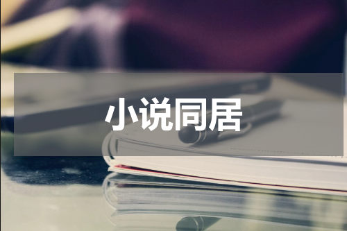 小说同居