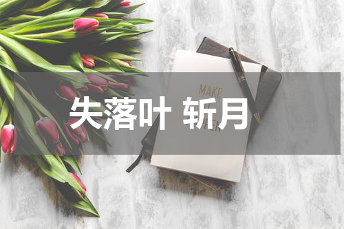 失落叶 斩月