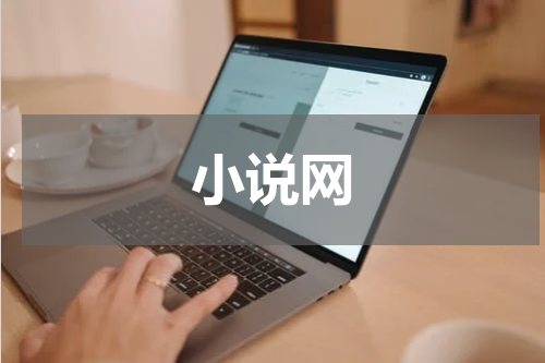 小说网