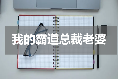 我的霸道总裁老婆