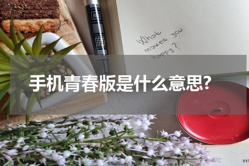 手机青春版是什么意思?