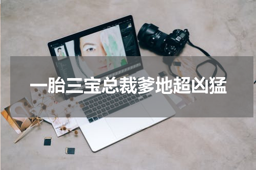 一胎三宝总裁爹地超凶猛