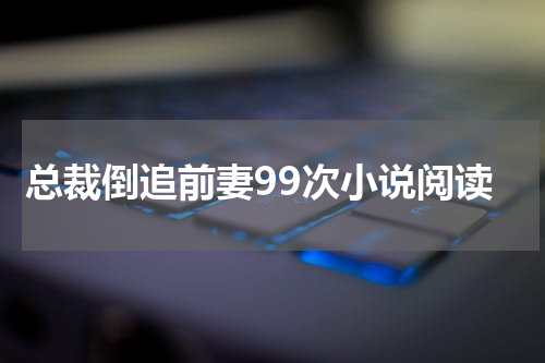 总裁倒追前妻99次小说阅读