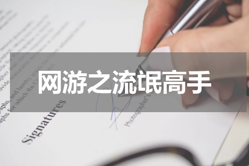 网游之流氓高手
