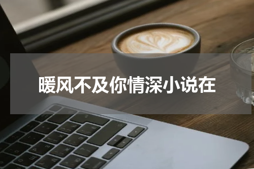暖风不及你情深小说在