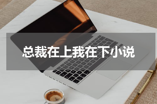 总裁在上我在下小说