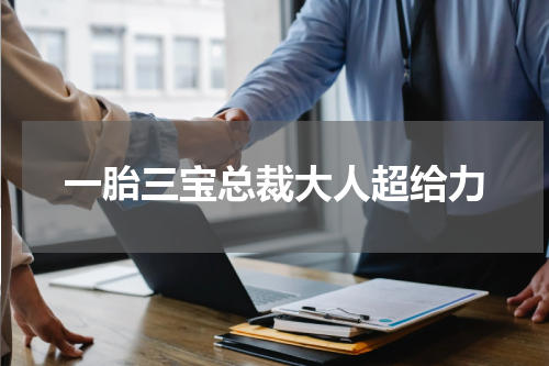 一胎三宝总裁大人超给力