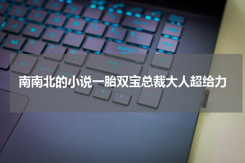 南南北的小说一胎双宝总裁大人超给力