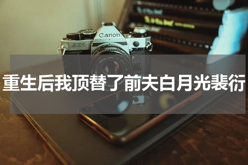 重生后我顶替了前夫白月光裴衍
