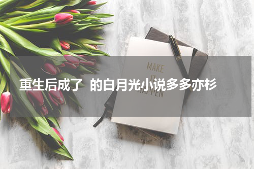 重生后成了  的白月光小说多多亦杉