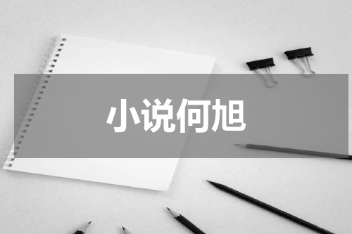 小说何旭