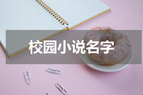校园小说名字