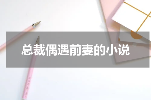 总裁偶遇前妻的小说