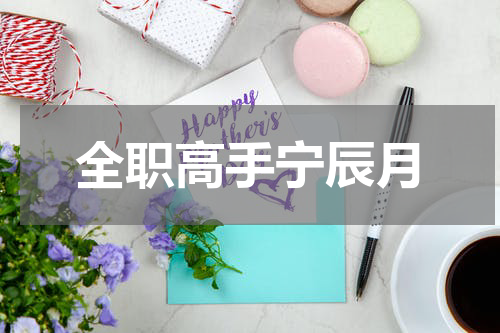 全职高手宁辰月