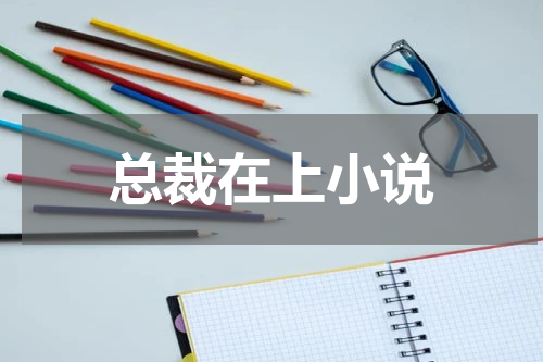 总裁在上小说