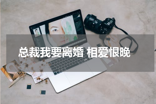 总裁我要离婚 相爱恨晚