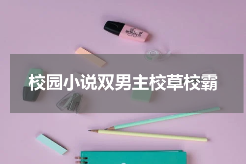 校园小说双男主校草校霸