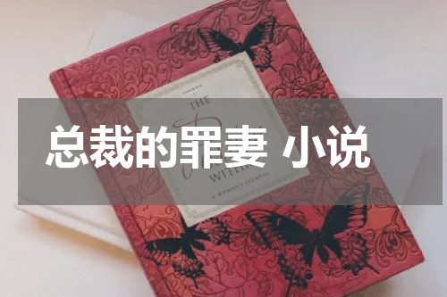 总裁的罪妻 小说