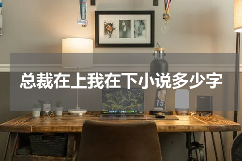 总裁在上我在下小说多少字
