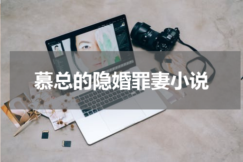 慕总的隐婚罪妻小说
