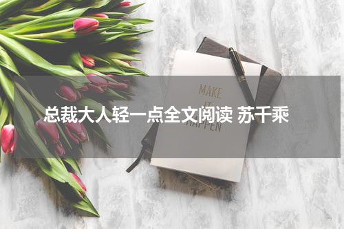 总裁大人轻一点全文阅读 苏千乘
