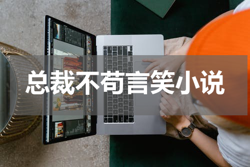 总裁不苟言笑小说