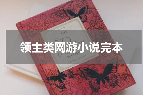领主类网游小说完本