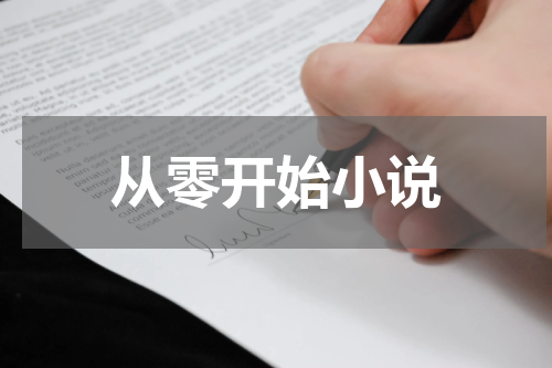 从零开始小说