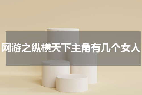 网游之纵横天下主角有几个女人