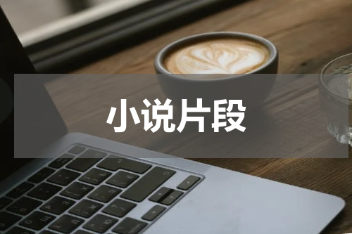 小说片段