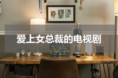 爱上女总裁的电视剧