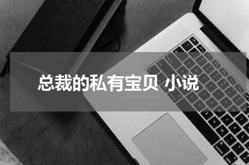 总裁的私有宝贝 小说