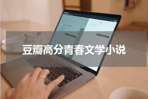 豆瓣高分青春文学小说