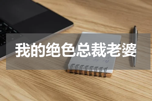 我的绝色总裁老婆