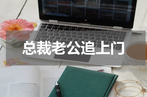 总裁老公追上门