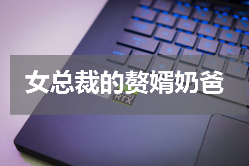 女总裁的赘婿奶爸