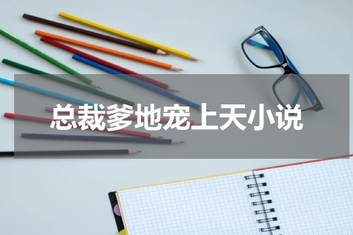 总裁爹地宠上天小说