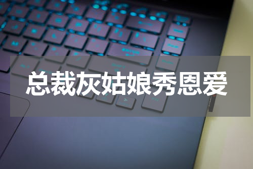 总裁灰姑娘秀恩爱