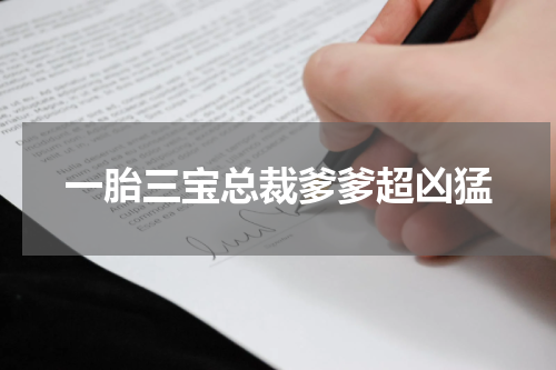一胎三宝总裁爹爹超凶猛