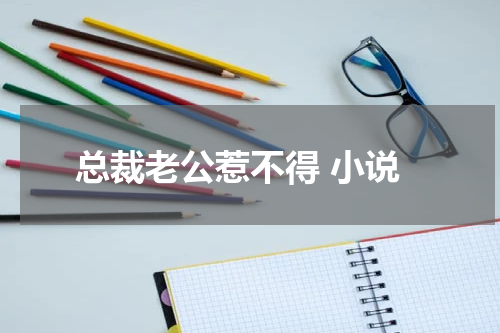 总裁老公惹不得 小说