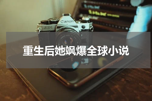 重生后她飒爆全球小说