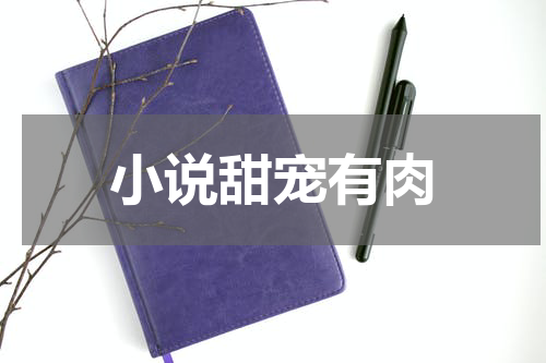 小说甜宠有肉