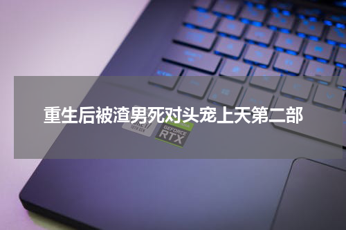 重生后被渣男死对头宠上天第二部