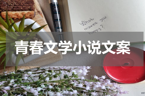青春文学小说文案