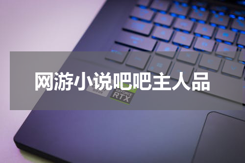 网游小说吧吧主人品
