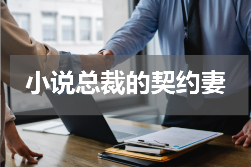 小说总裁的契约妻
