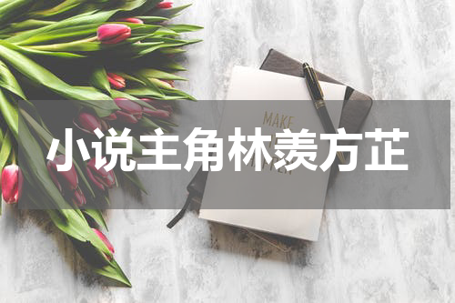 小说主角林羡方芷