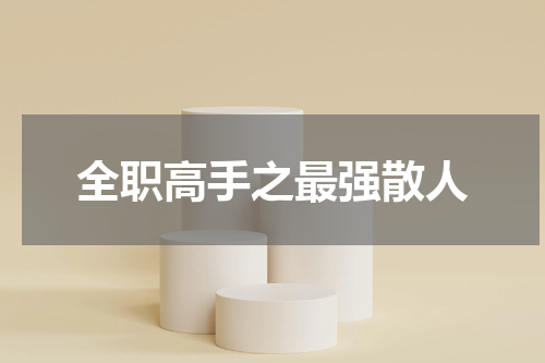全职高手之最强散人