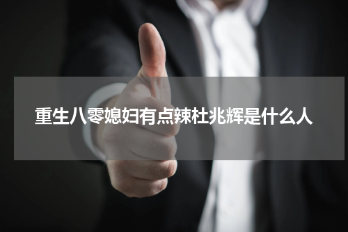 重生八零媳妇有点辣杜兆辉是什么人