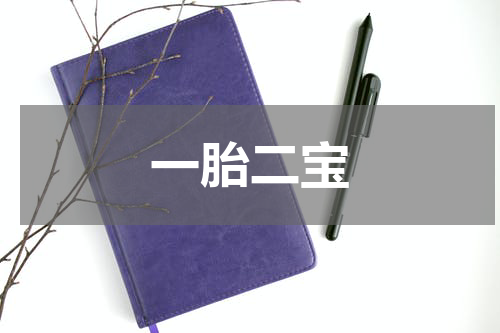 一胎二宝